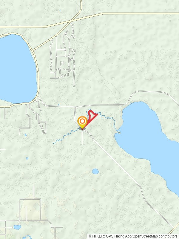 Lake Wales Ridge State Forest Trail and Reedy Creek Loop