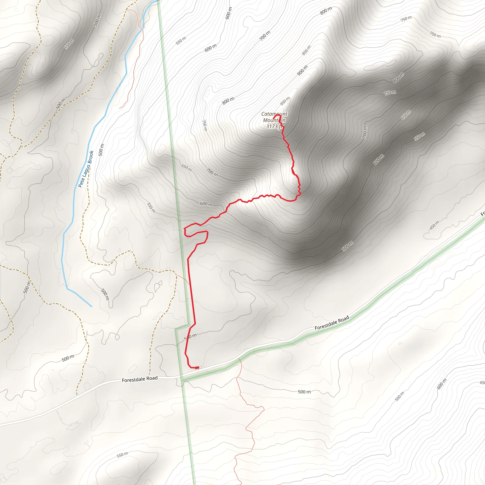 Catamount Mountain Trail mobile static map