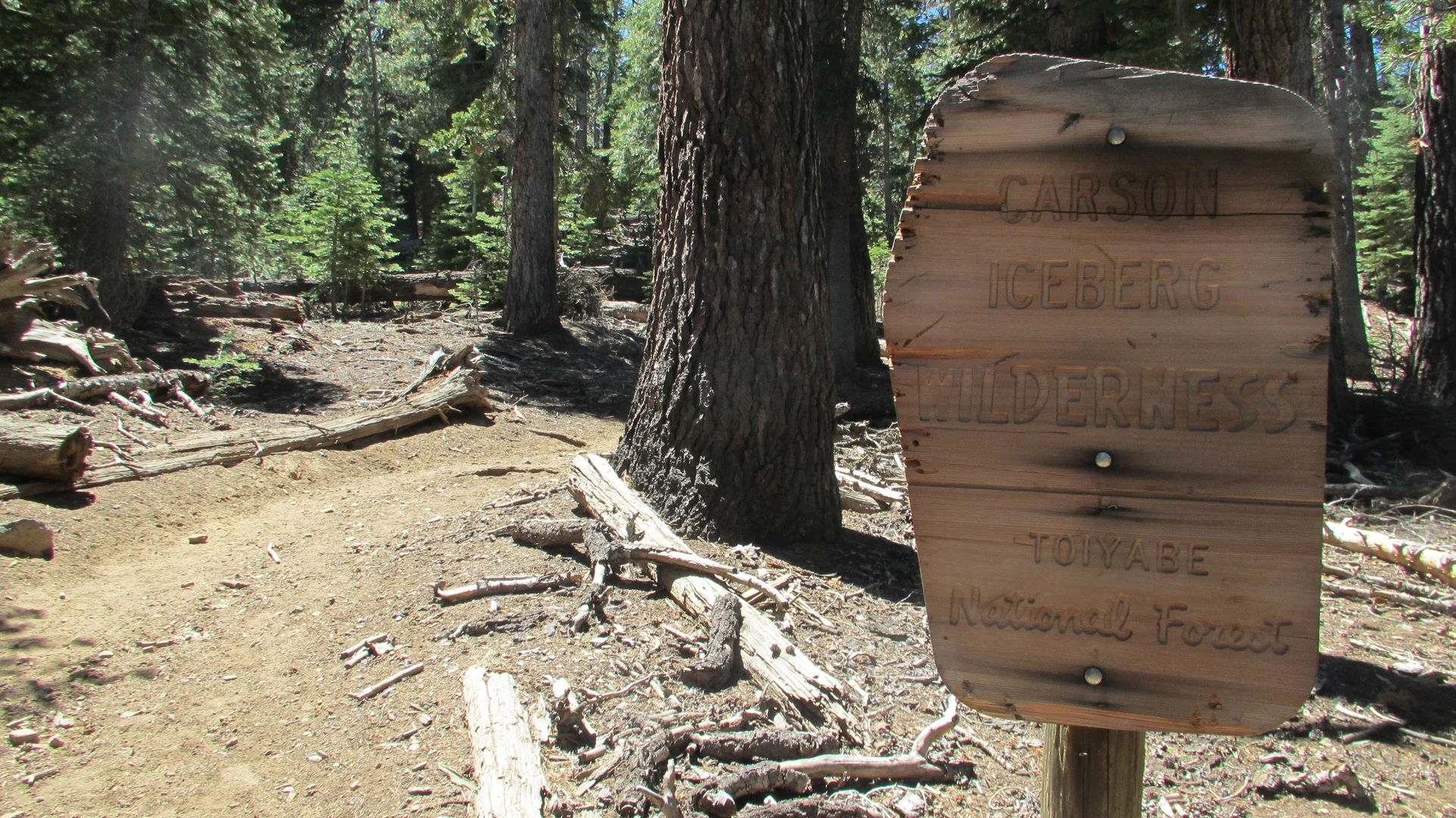 An image depicting the trail Llewellyn Falls and Silver King Creek Loop and its surrounding area.