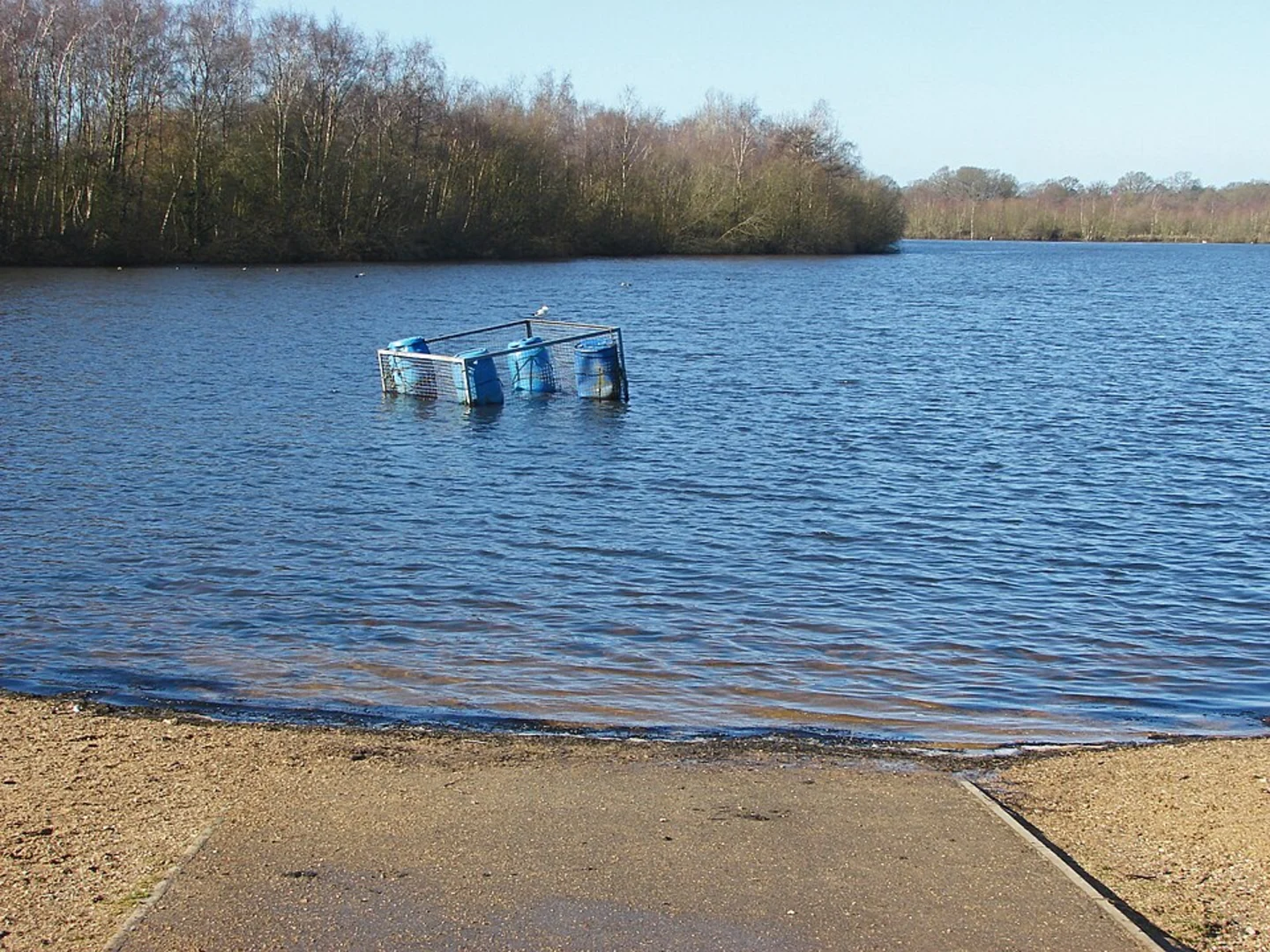 An image depicting the trail Horseshoe Lake, Windrush Lake and River Churn Loop and its surrounding area.