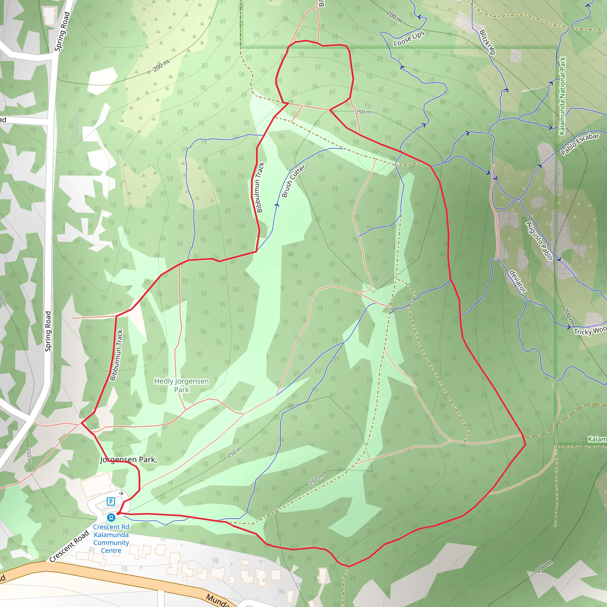 Jorgensen Park Walk mobile static map