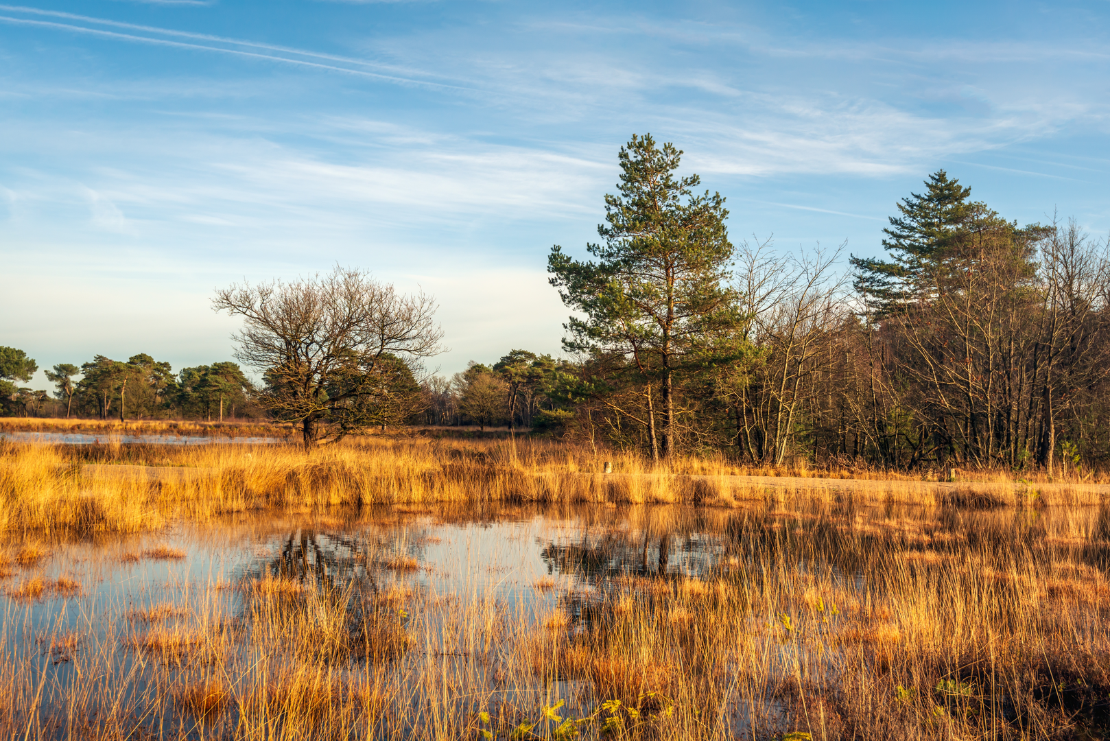 An image depicting the trail De Hutte and De Heetdelle Loop and its surrounding area.