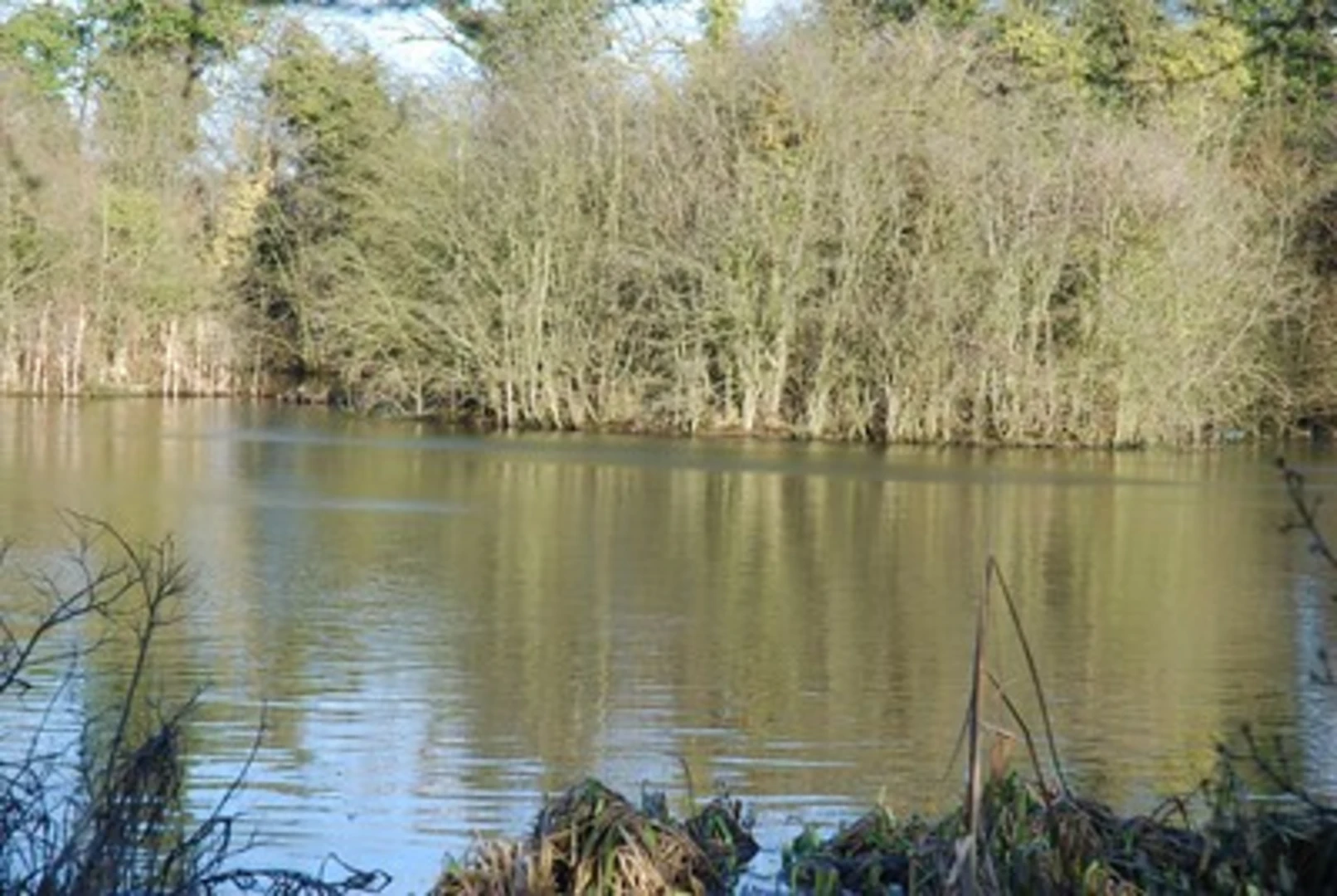 An image depicting the trail Rhodesia to Workshop Loop and its surrounding area.