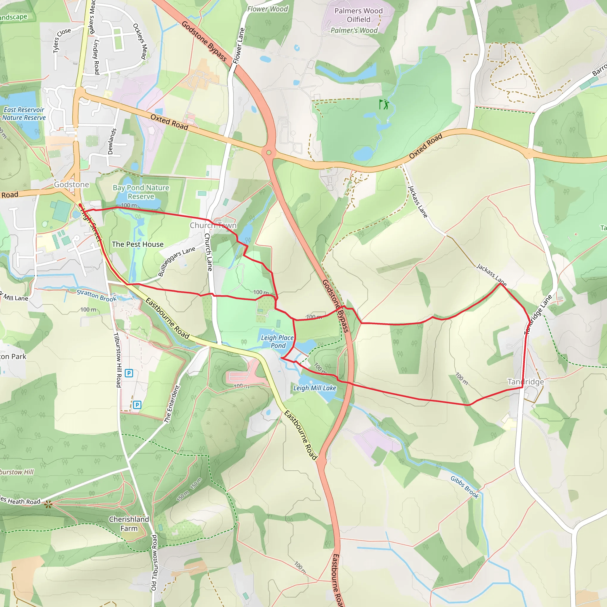 Godstone Ponds Loop mobile static map