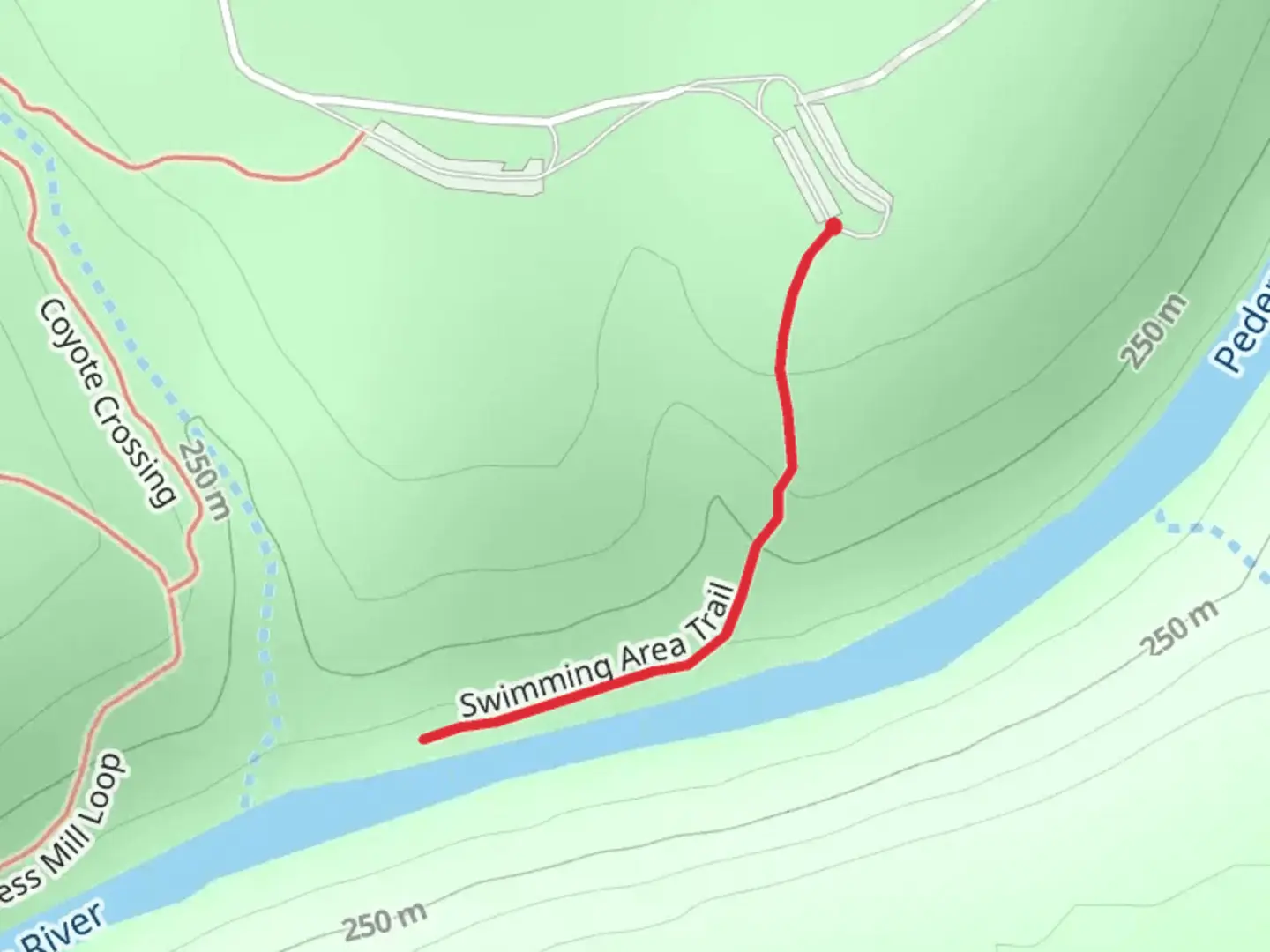 An image depicting the trail Pedernales Falls and its surrounding area.