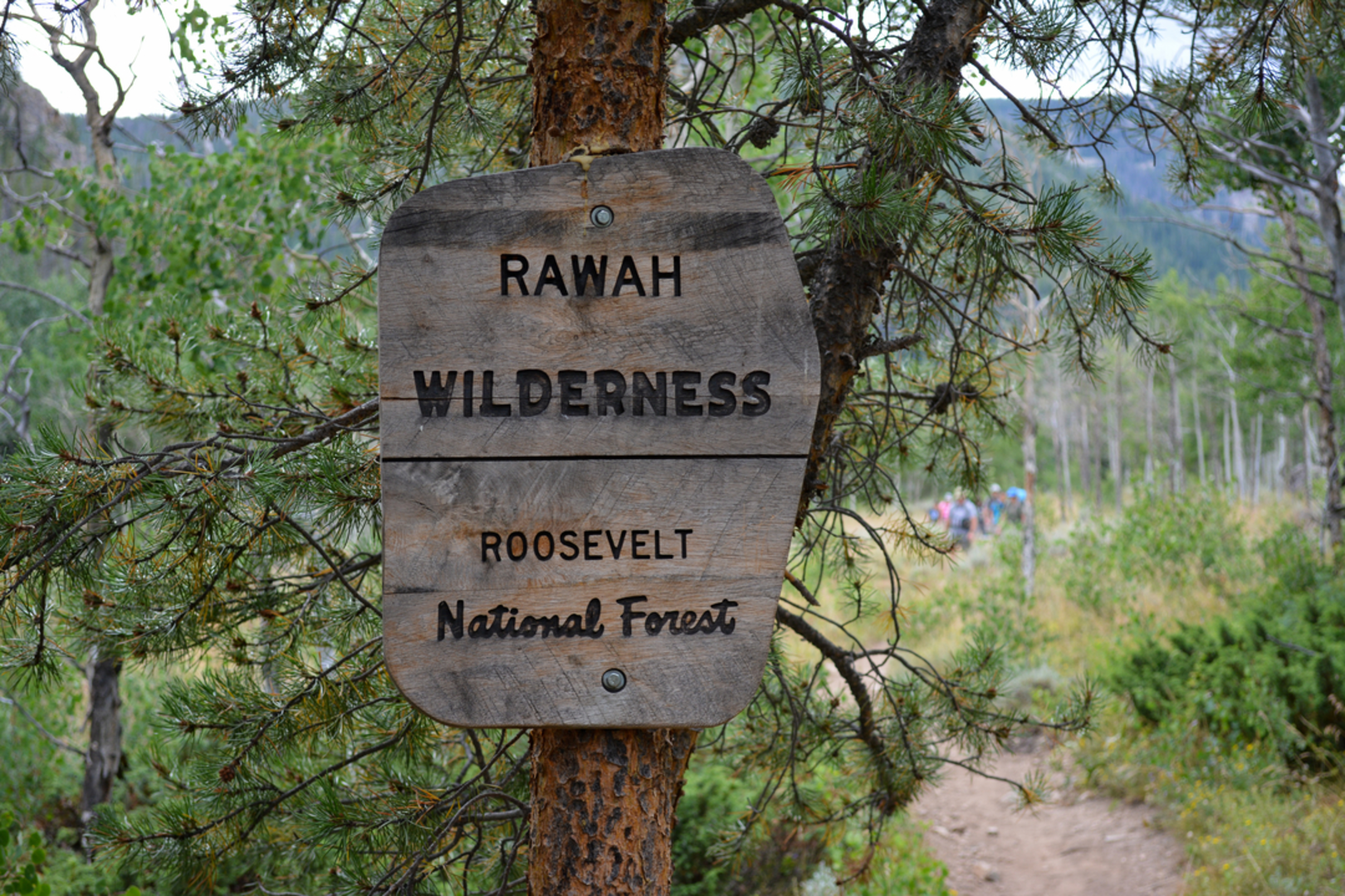 An image depicting the trail Camp Lake and Upper Camp Lake Trail and its surrounding area.