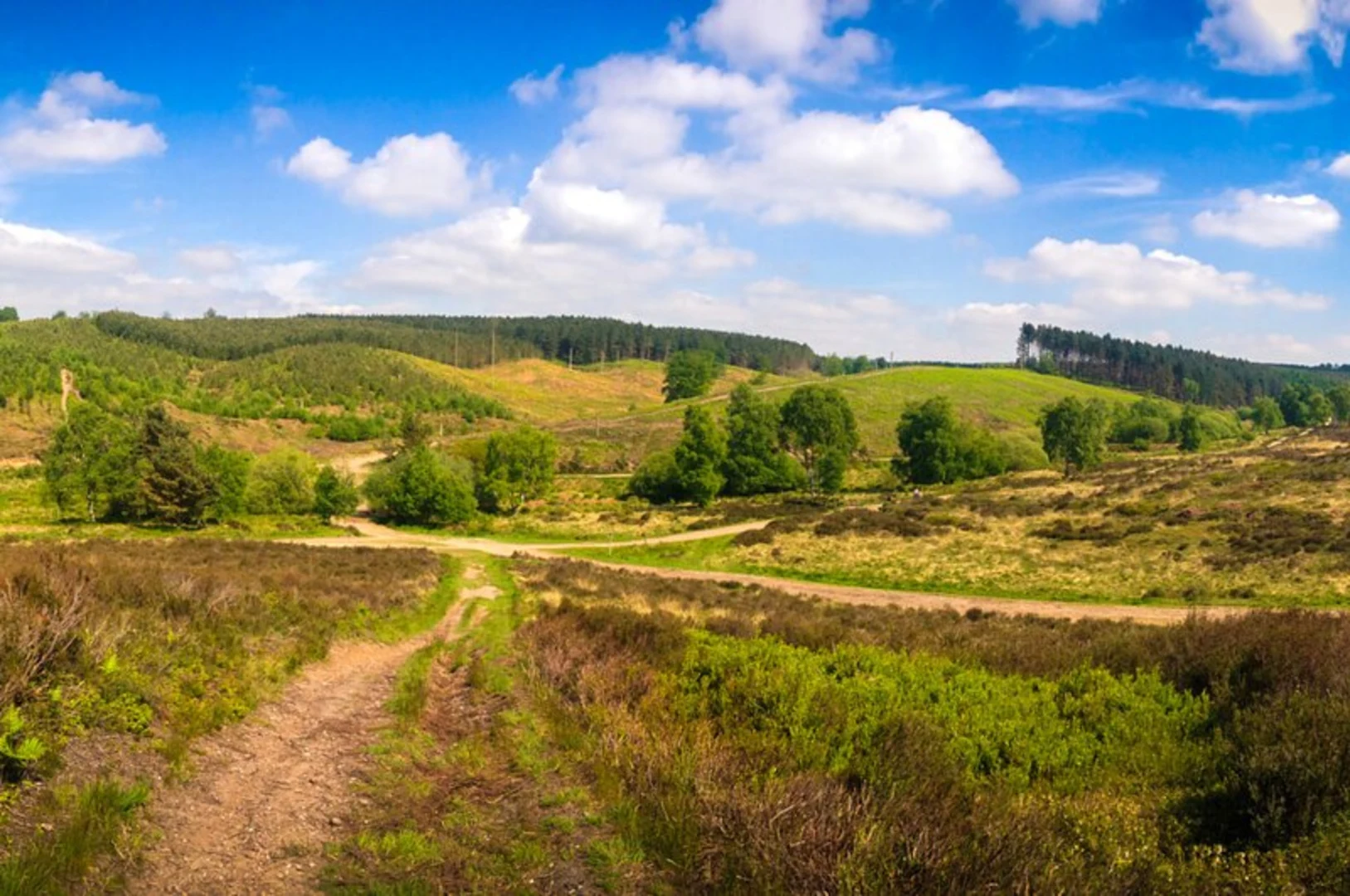 An image depicting the trail The Butts, Old Brook and Sher Brook and its surrounding area.