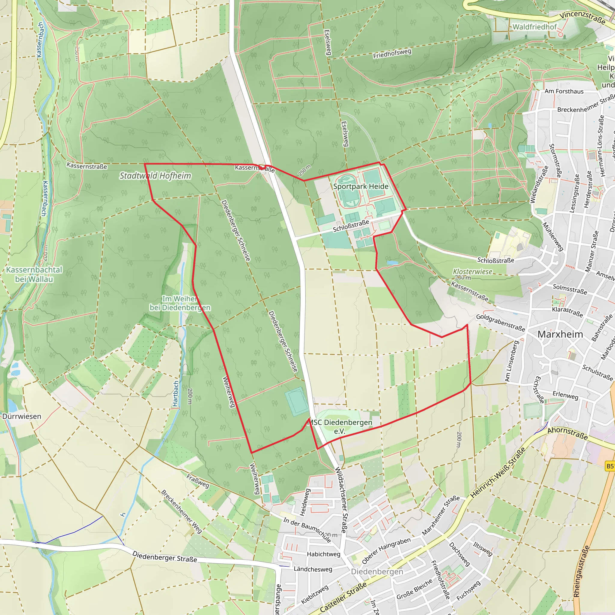 Stadtwald Hofheim Loop mobile static map