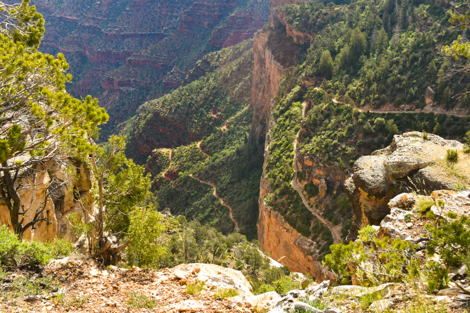 An image depicting the trail Bright Angel Trail and its surrounding area.