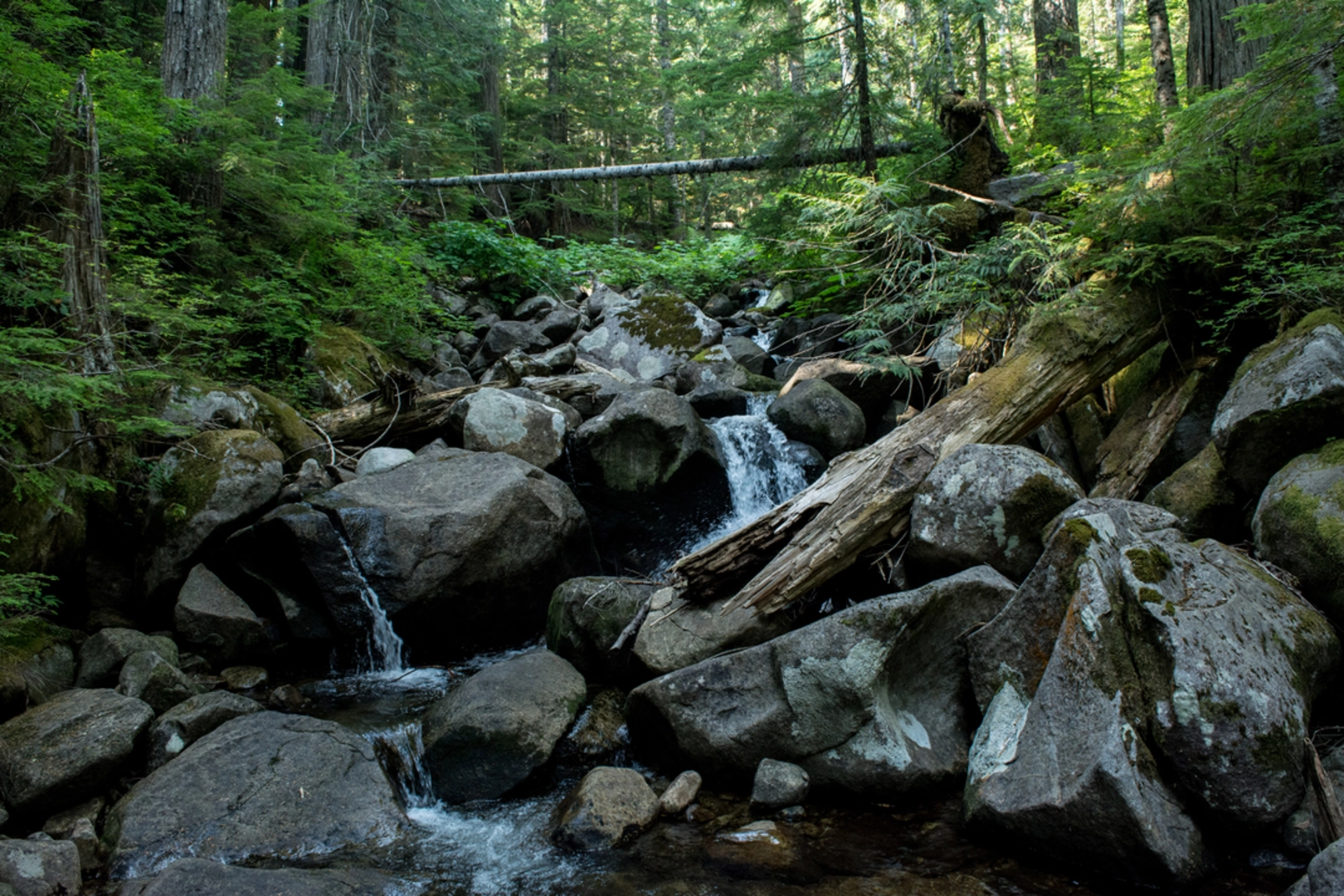 An image depicting the trail Mt Defiance Trail and its surrounding area.