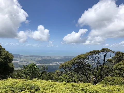 Manjal Jimalji Trail