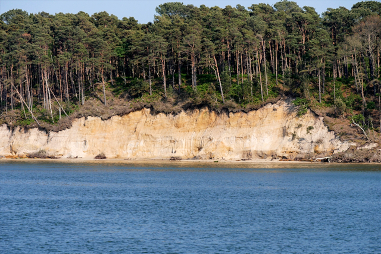 An image depicting the trail Brownsea Island Loop and its surrounding area.