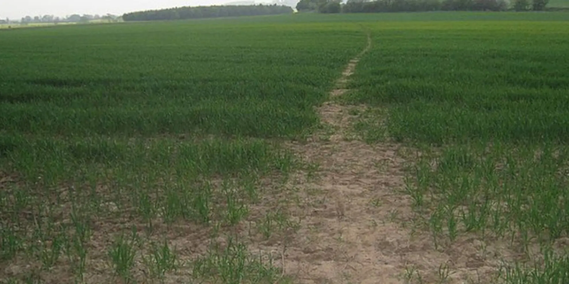 An image depicting the trail Walesby from Tealby and its surrounding area.