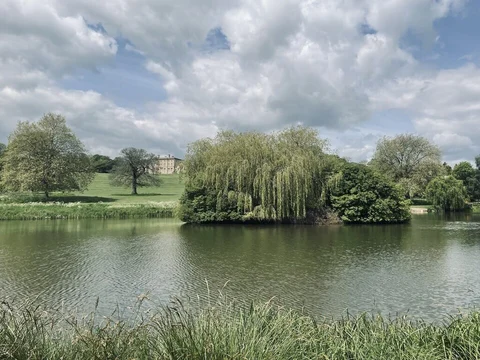 An image depicting the trail Cusworth Hall Park and its surrounding area.