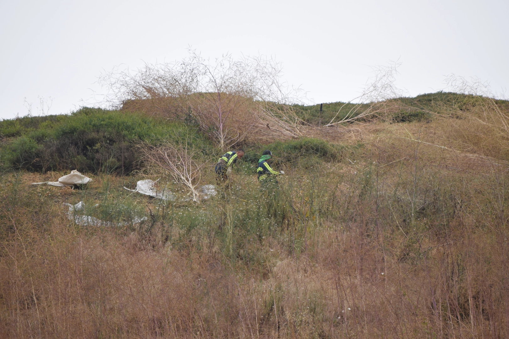 An image depicting the trail Buck Gully Trail and its surrounding area.