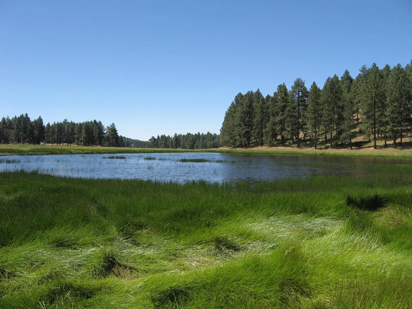 An image depicting the trail Water of the Woods and Big Laguna Loop Trail and its surrounding area.
