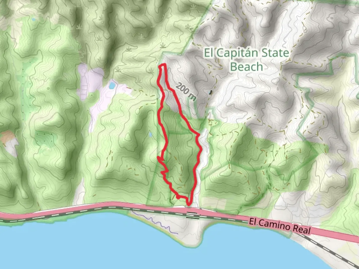 An image depicting the trail Bill Wallace Trail Loop and its surrounding area.