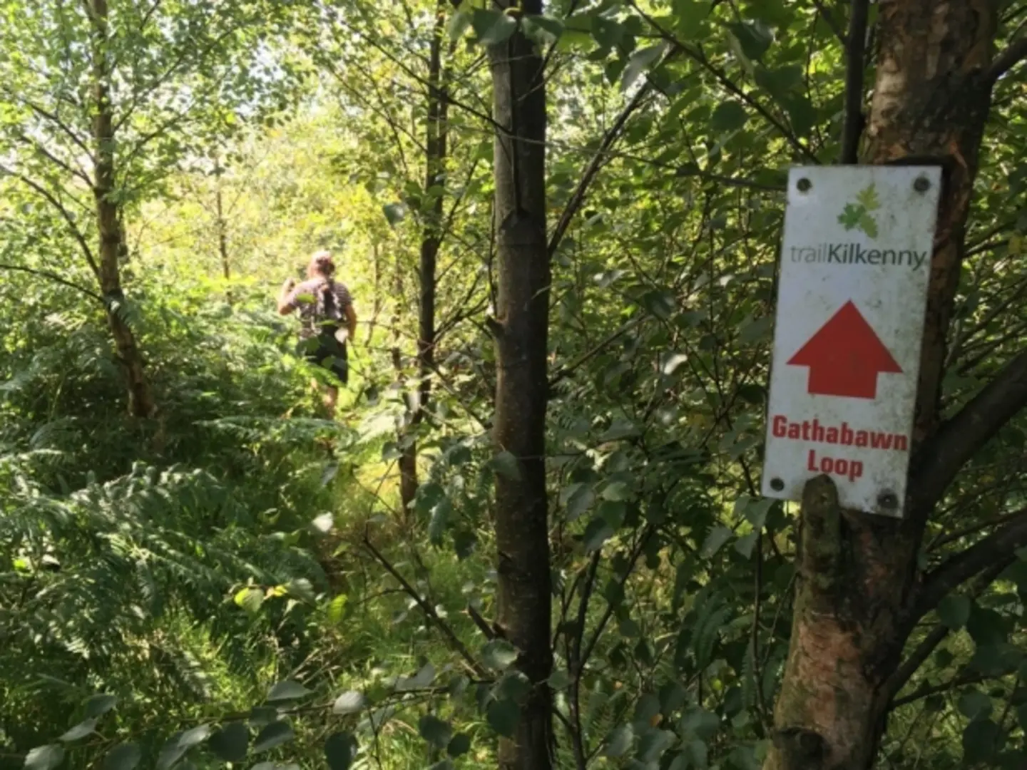 An image depicting the trail Gathabawn Loop and its surrounding area.