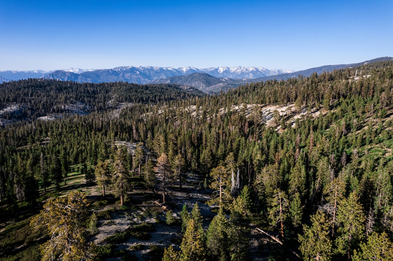An image depicting the trail Weaver Lake via Big Meadows Trail and its surrounding area.