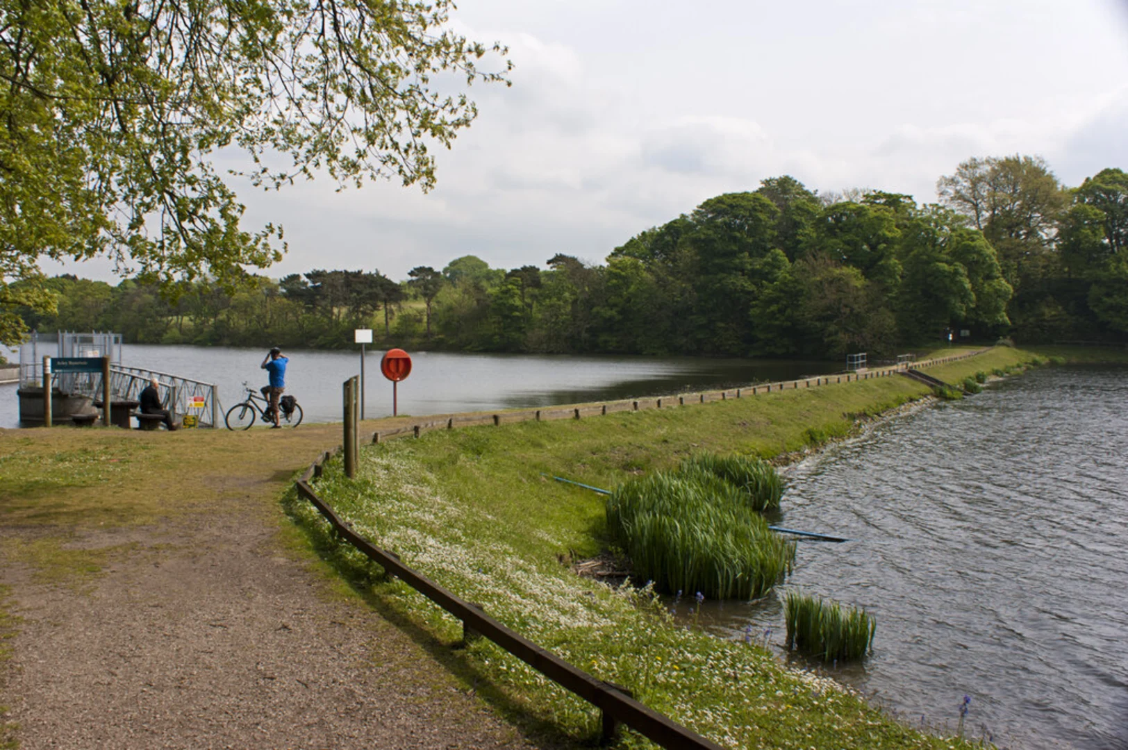 An image depicting the trail Worthington Lakes Loop and its surrounding area.