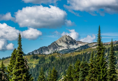 An image depicting the trail Moraine Trail and its surrounding area.