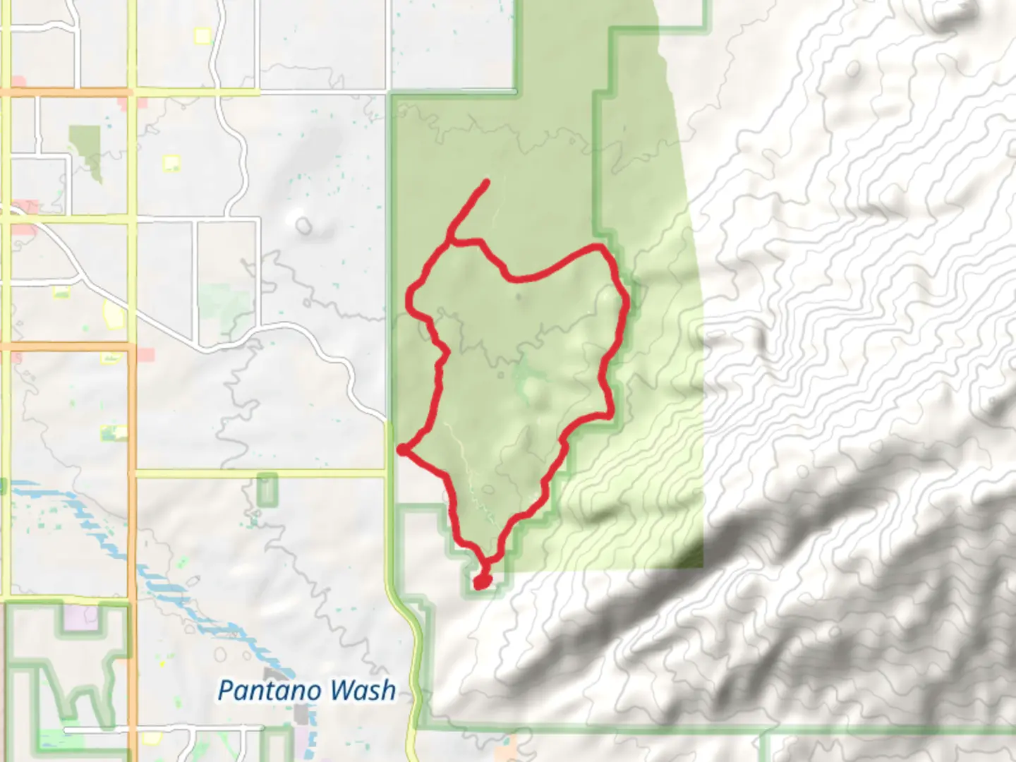 An image depicting the trail Cactus Forest Drive Loop and its surrounding area.