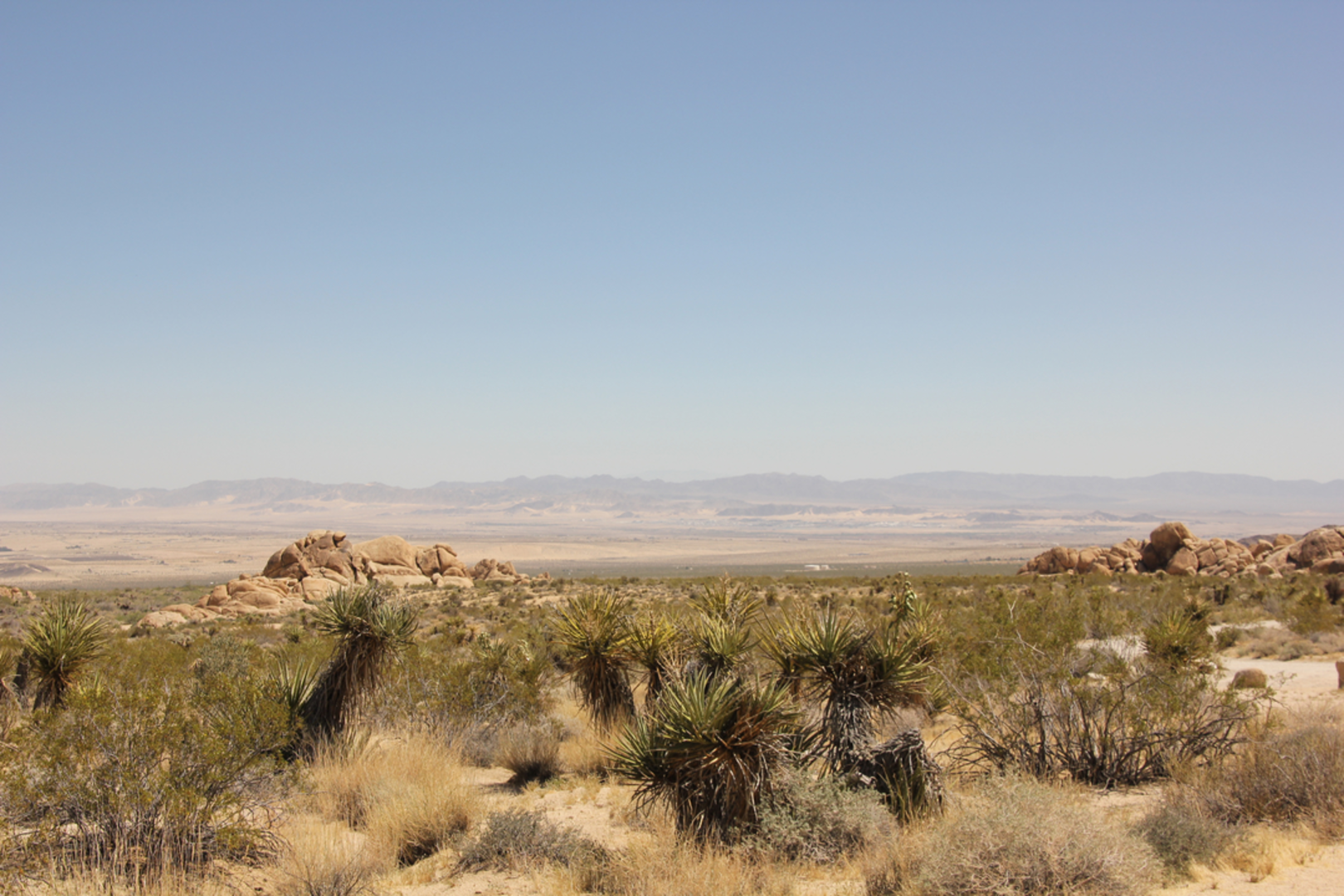 An image depicting the trail Indian Cove Trail and its surrounding area.
