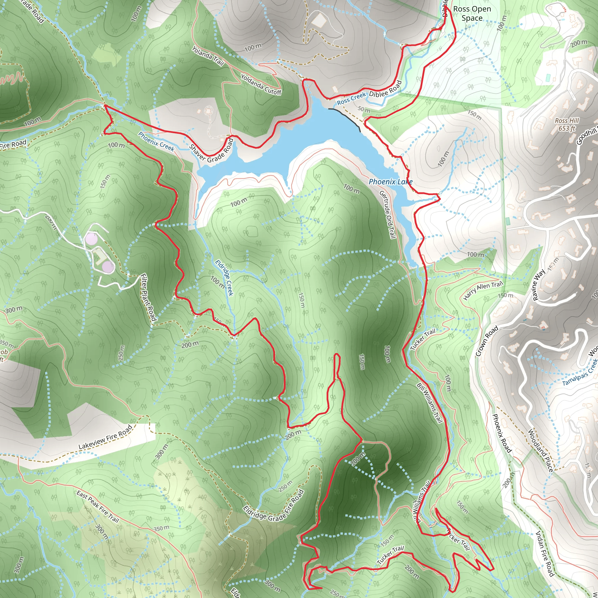 Phoenix Lake - Bill Williams Loop Trail mobile static map