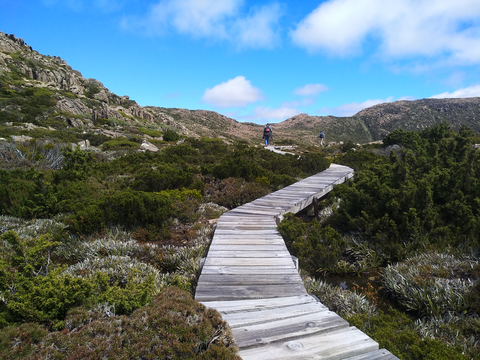 An image depicting the trail Tarn Shelf Walk and its surrounding area.