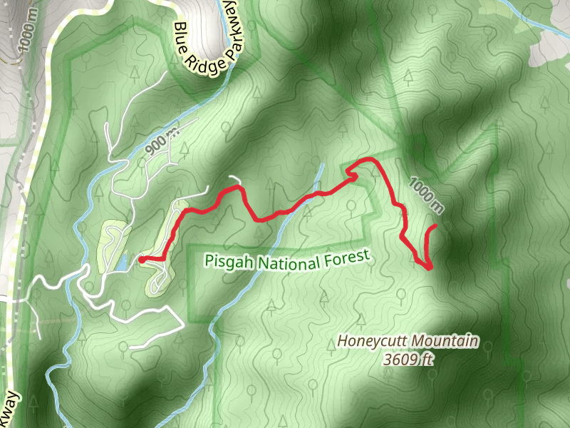 Honeycutt Mountain Ridge via West S Moody Memorial Drive