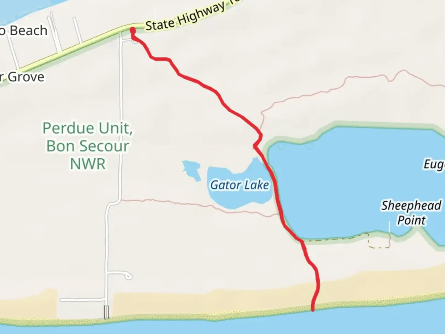 An image depicting the trail Gator Lake via Pine Beach Road and its surrounding area.