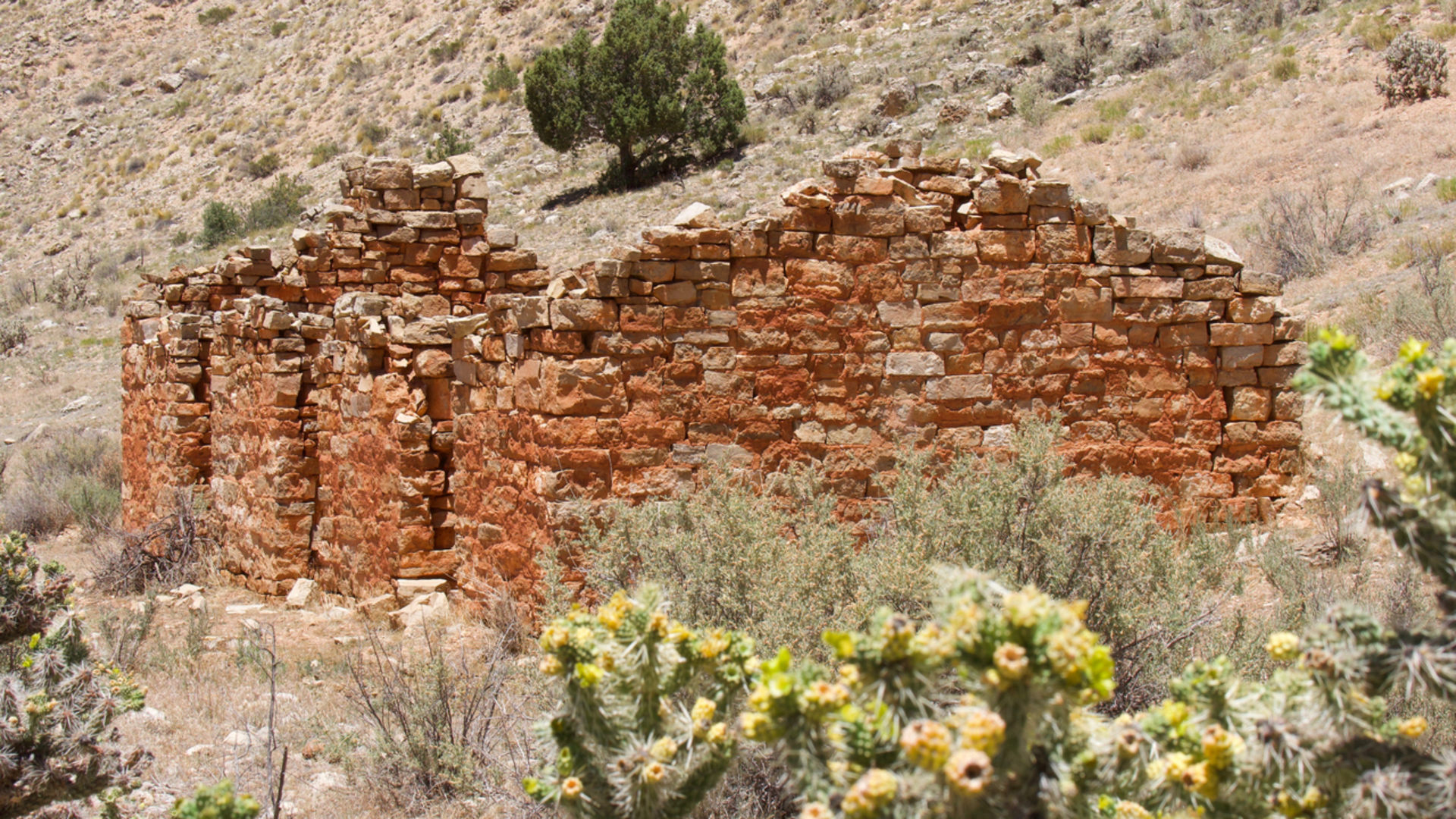 An image depicting the trail Snake Gulch Trail and its surrounding area.