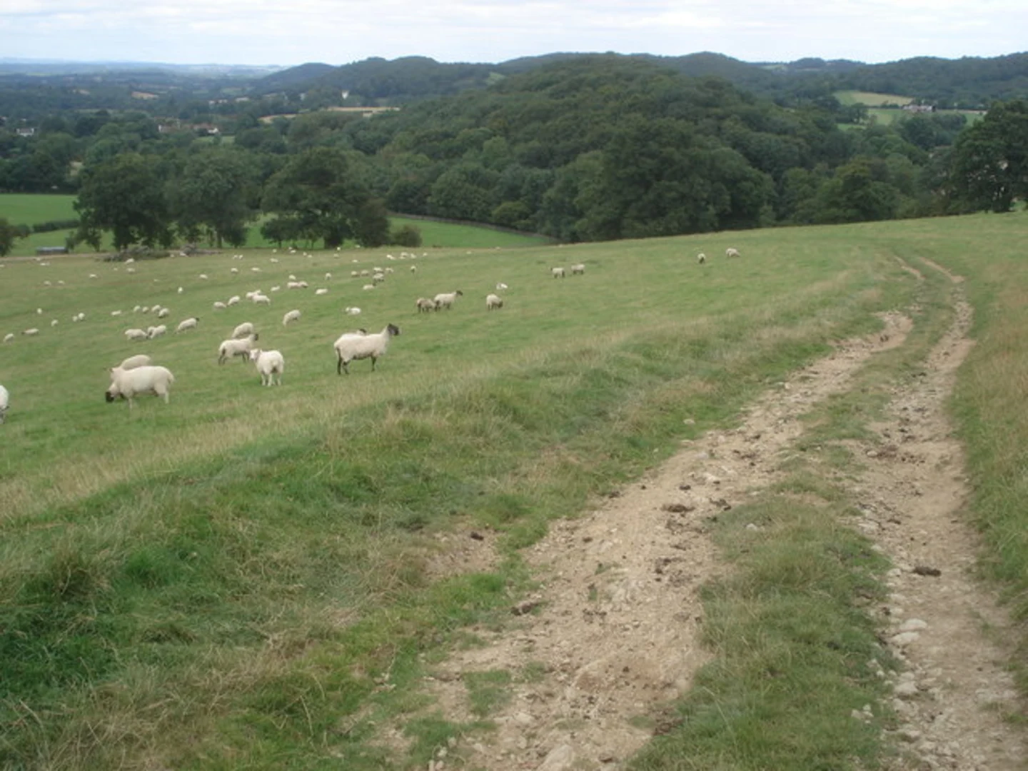 An image depicting the trail High Grove Wood and Cockshot Hill Loop and its surrounding area.
