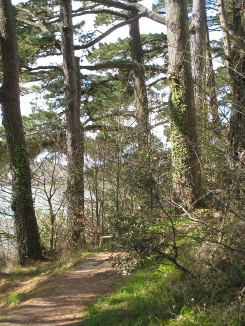An image depicting the trail Boscawen Park and St Clement Walk and its surrounding area.