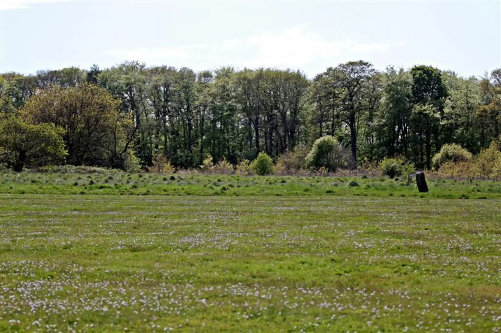 An image depicting the trail Bidston Hill Loop and its surrounding area.