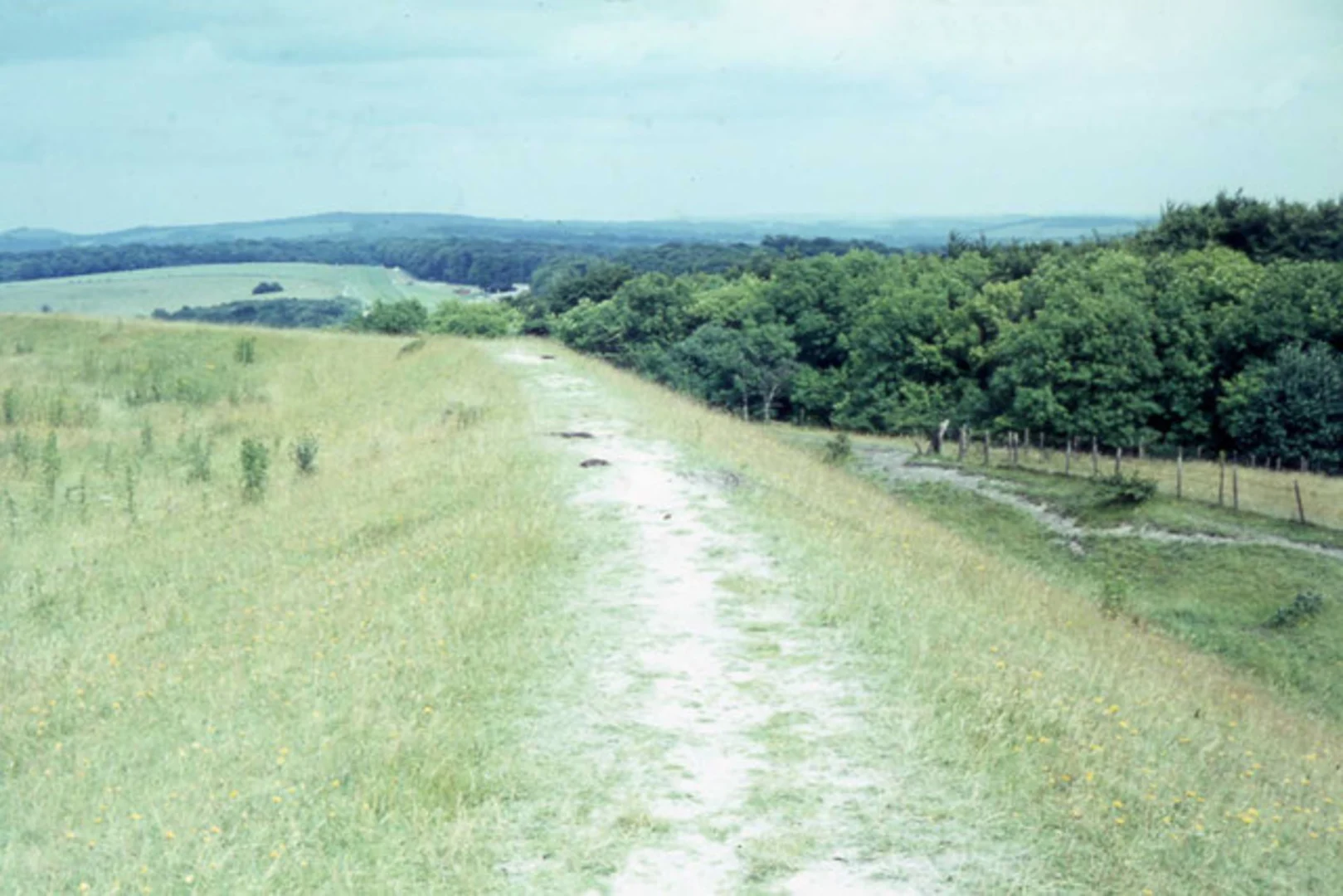 An image depicting the trail Trundle, Singleton and Chilgrove Loop and its surrounding area.