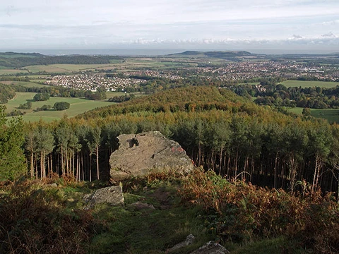 Roseberry Common, Ayton Banks Wood and Roseberry Topping Loop