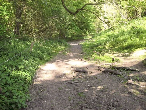 Stock Furlong and Beesby Wood Loop