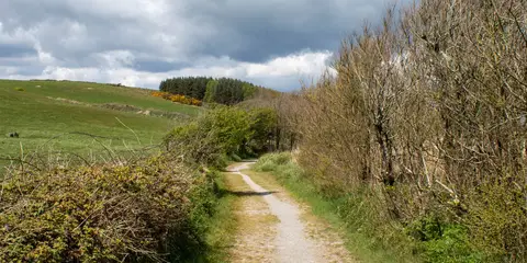 An image depicting the trail Kilbrittain Trails - Castle Walk and its surrounding area.