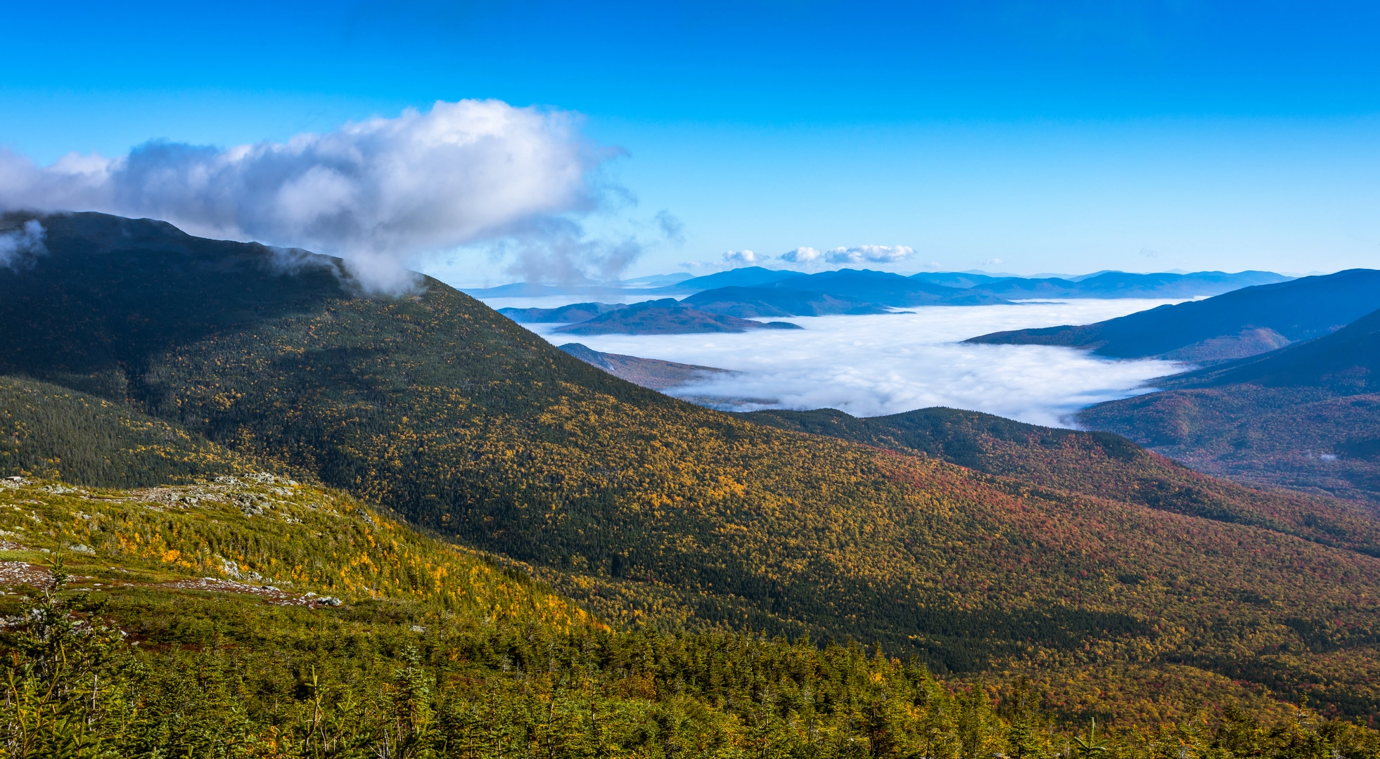 An image depicting the trail Bonds Traverse Trail and its surrounding area.