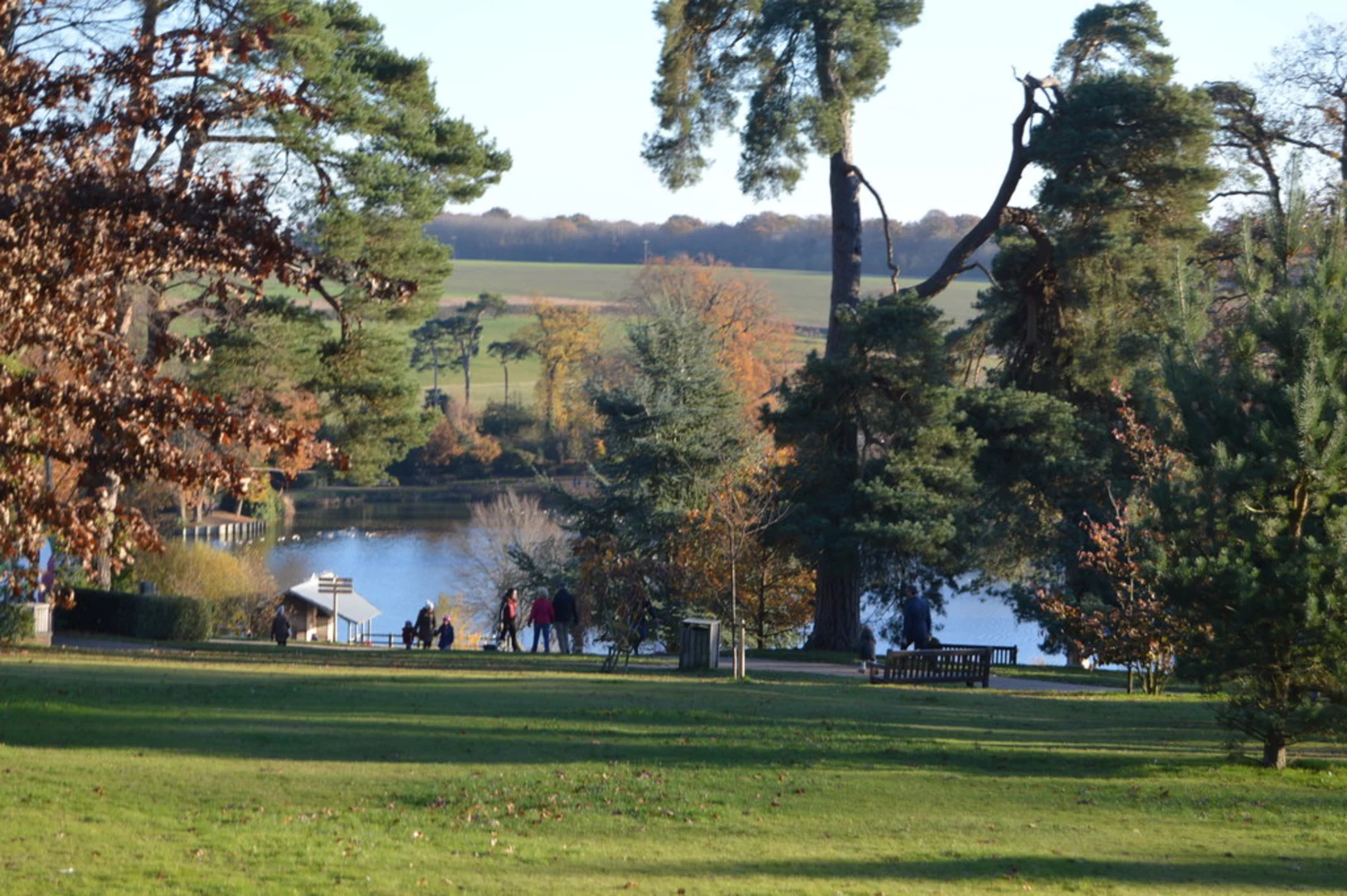 An image depicting the trail Dunorlan Park Loop and its surrounding area.
