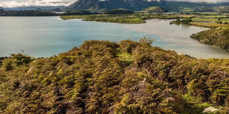 An image depicting the trail Diamond Lake Lookout Track and its surrounding area.