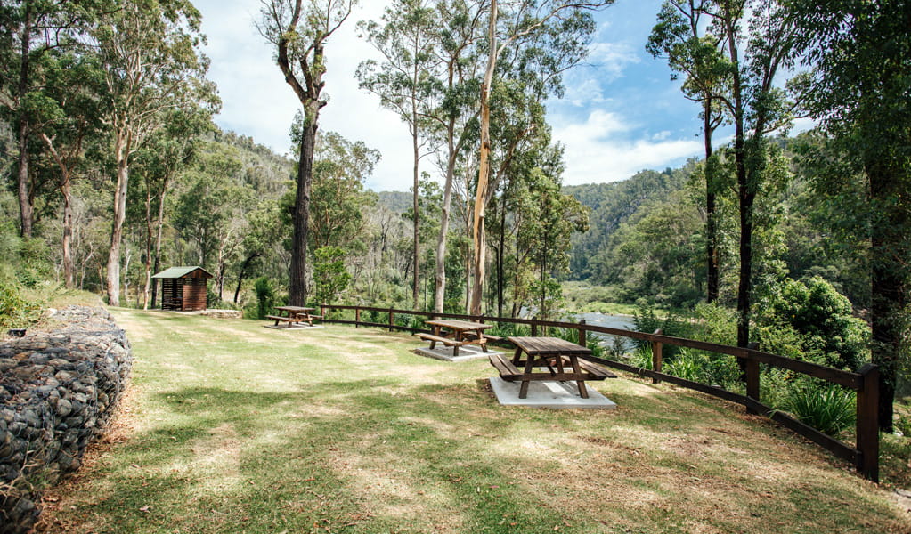 An image depicting the trail Nymboi-Binderay National Park and its surrounding area.