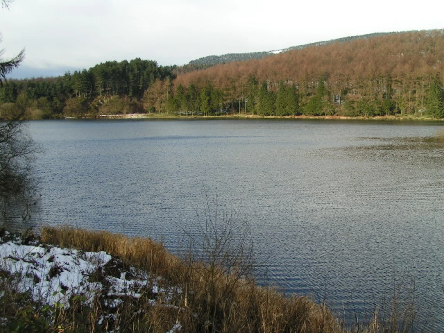 An image depicting the trail Macclesfield Forest and Trentabank Reservoir Loop and its surrounding area.