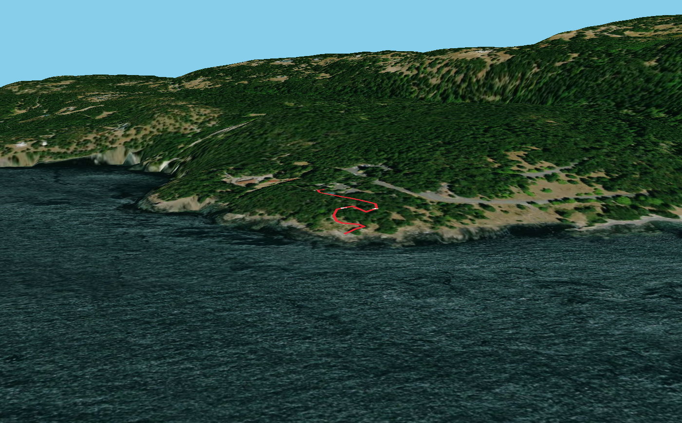 Orca Whale Watching Point