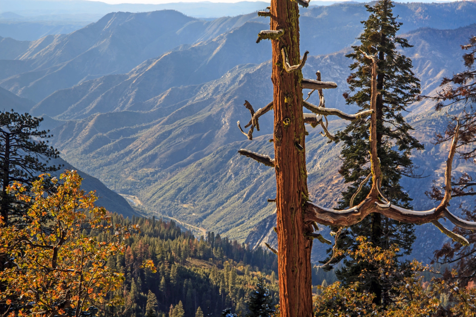 An image depicting the trail Aspen Meadow Trail and its surrounding area.