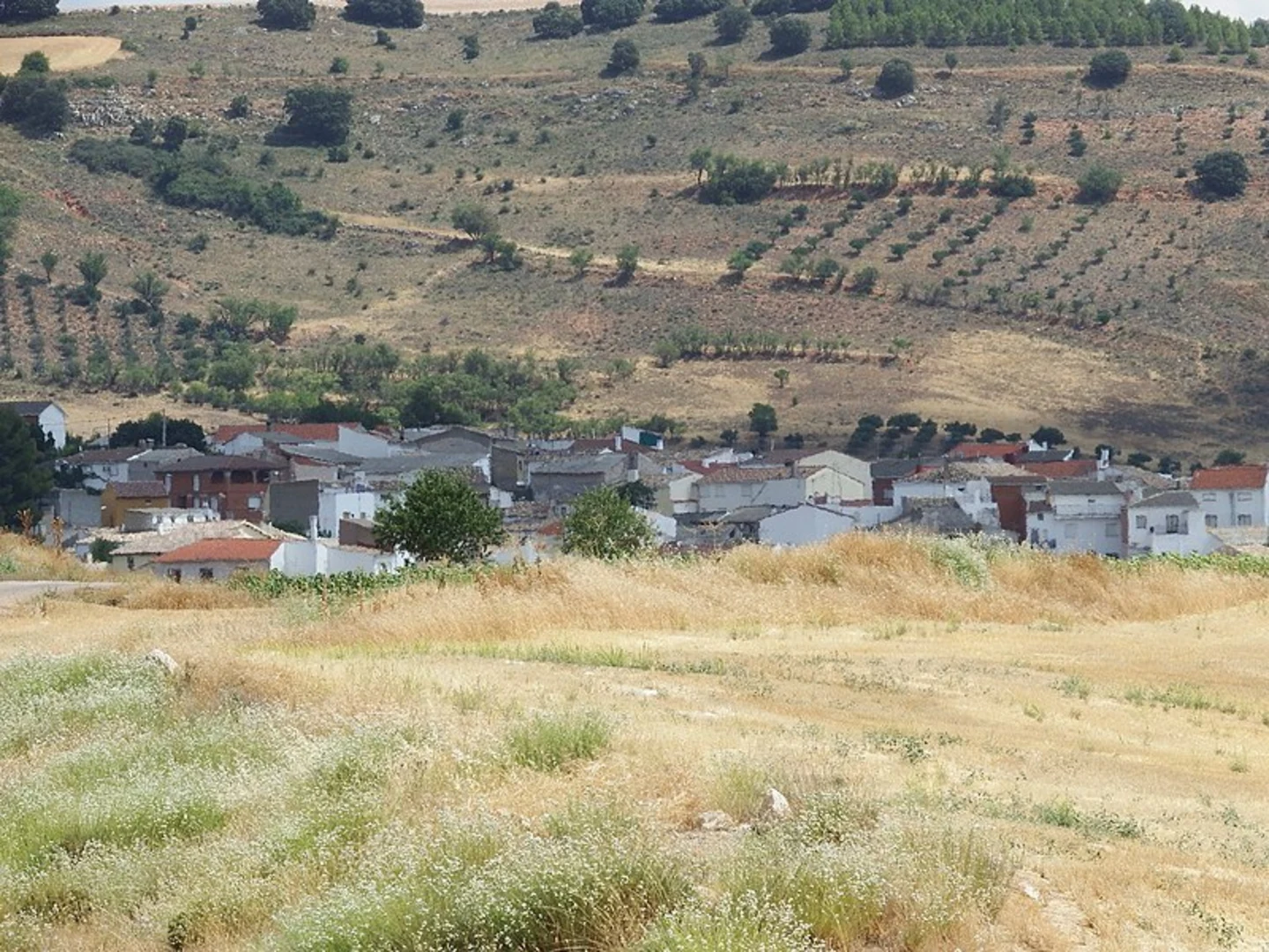 An image depicting the trail Path of the Enchanted Mulberry PR CU 119 and its surrounding area.