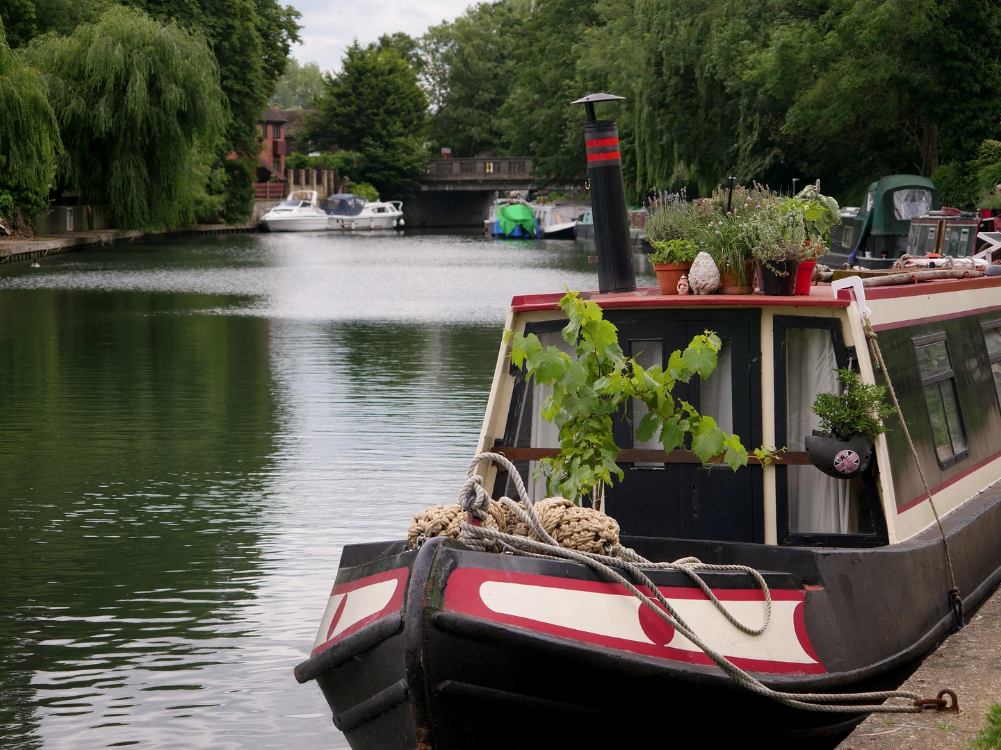 An image depicting the trail Cuffley to Hertford Walk via Hertfordshire Way and its surrounding area.