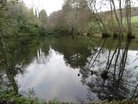 An image depicting the trail Gover Hill and Peckham Hurst Loop and its surrounding area.