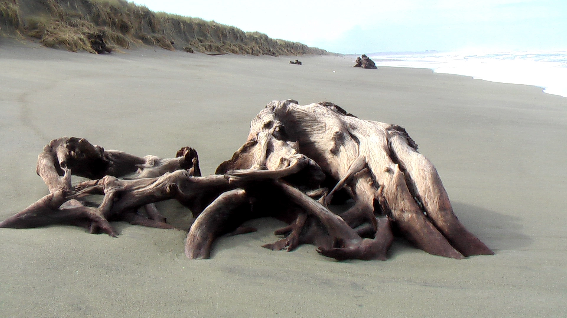 An image depicting the trail Lake Earl - Old Mill Road and its surrounding area.